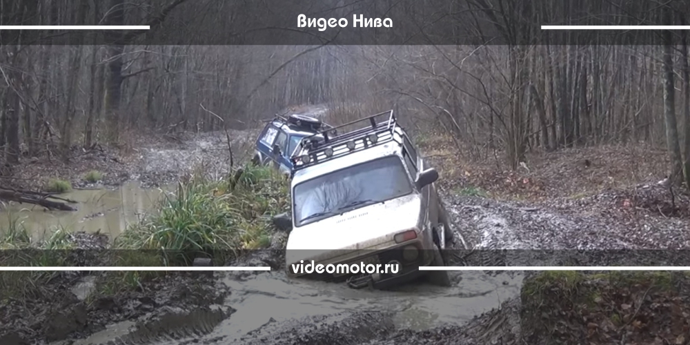 Нива Видео: Три Нивы / Ноябрь 2015 / Краснодарский край